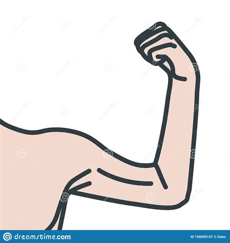 Weak Male Arms With Flexed Biceps Muscles Cartoon Vector