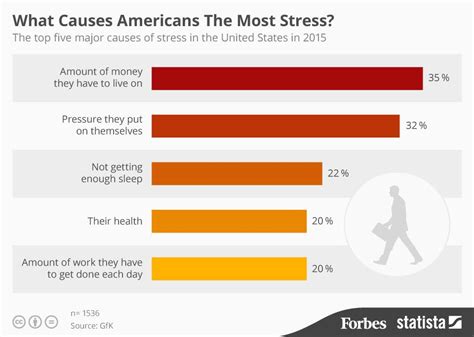 What Causes Americans The Most Stress Infographic