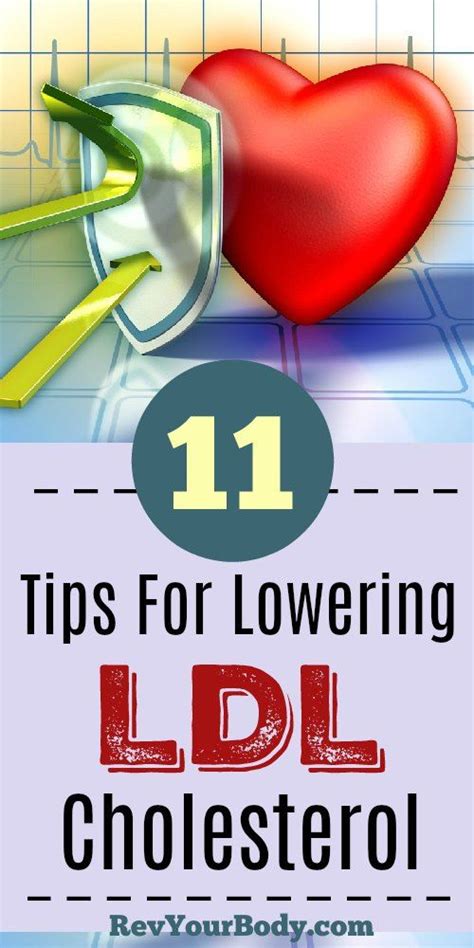 Lowering Ldl Cholesterol Naturally Lower Cholesterol Naturally Lower