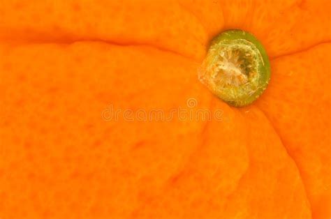 9577 Photos De Texture Orange De Fruit Photos De Stock Gratuites Et