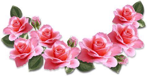 Transparent Pink Roses Bouquet Png Clipart Picture Pink Rose Bouquet Images