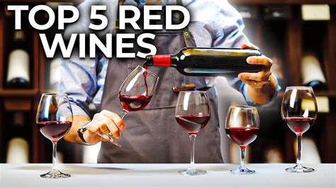 The Best Red Wines For Beginners Youtube