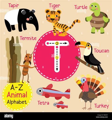 Cute Zoo Para Niños Alfabeto Letra T El Rastreo De Animales Divertidos
