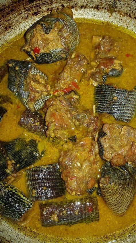Curry Iguana With Coconut Milk And Peperyummy Trini Food Wildmeat Trini Food Food