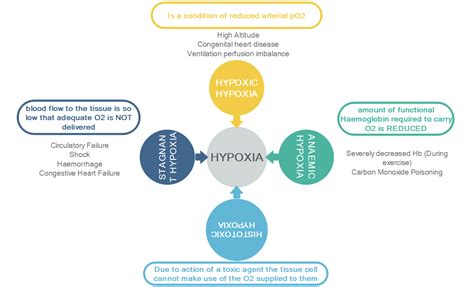 Hypoxia Concept Maps