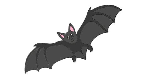 How To Draw A Bat For Beginners Easy
