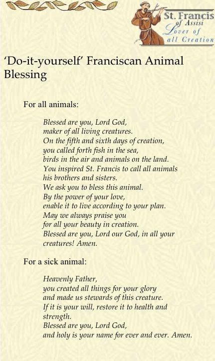 Franciscan Animal Blessing Saint Francis Prayer Patron Saint Of