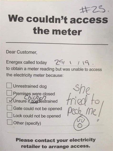Energex Couldnt Check My Meter Due To My Chicken Australia Funny Jaja