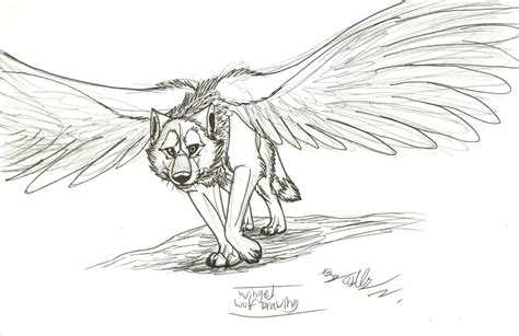 Winged Wolf Drawing By Hawaiifan On Deviantart