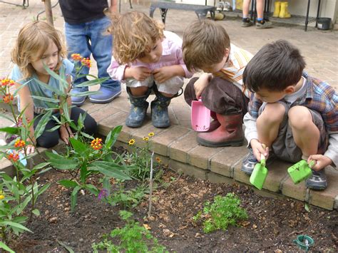 12 Easiest Plants For Kids To Grow — Bees And Roses Gardening Tips And