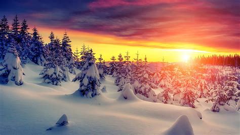 Hd Wallpaper Sunset Winter Thick Snow Trees Wallpaper Flare