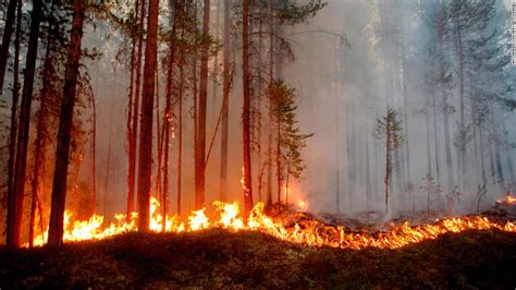 Dozens Of Wildfires Are Raging Across Sweden Cnn