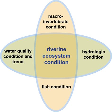Riverine Ecosystem Condition Components Download Scientific Diagram