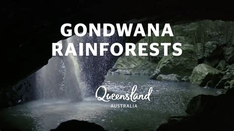 Gondwana Rainforests Queenslands 5 World Heritage Sites Youtube