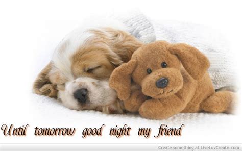 Until Tomorrow Good Night My Friend Quote It Quotes Sayings Pinterest Good Night My