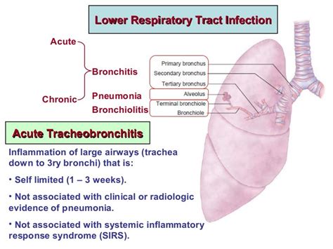 8 Lower Respiratory Infections