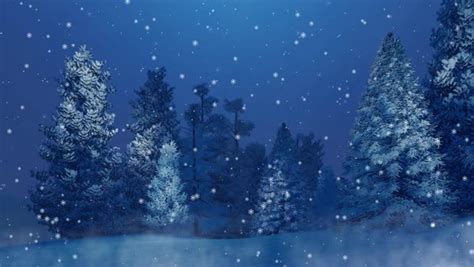 Peaceful Winter Scene With Snow Covered Fir Tree Forest At Magical