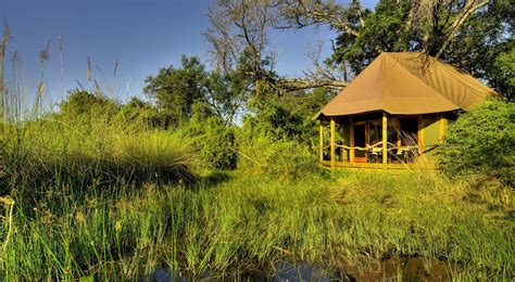 Kanana Camp Okavango Delta Safari Camps Rhino Africa
