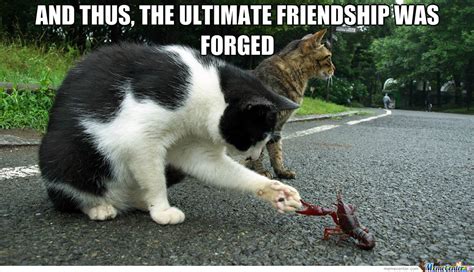 The Ultimate Friendship By Sirwadewilson Meme Center