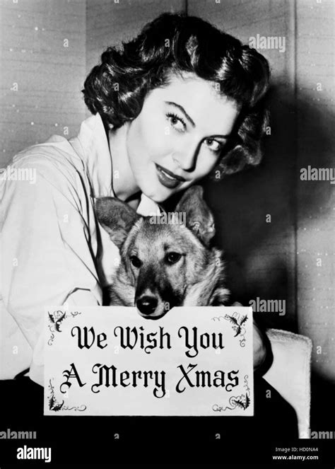 Ava Gardner And Her Pup Both Wishing Us A Merry Christmas 1951 Stock