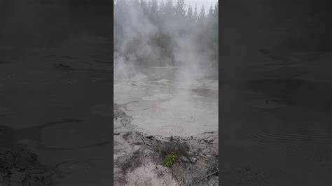 We saw steam venting under pressure from the lip at the back and subsequent boiling and mud being ejected from the site, said geothermal and regulatory inspector. Boiling mud pools in new zealand - YouTube