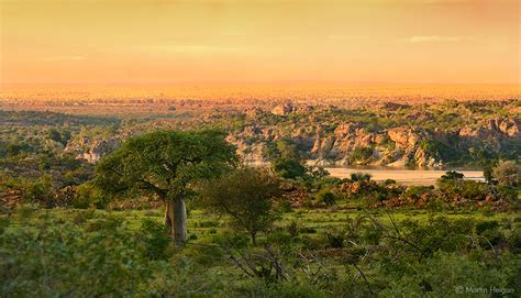 Mapungubwe Baobab Landscape Big Sky Baobab Tree Country A Flickr