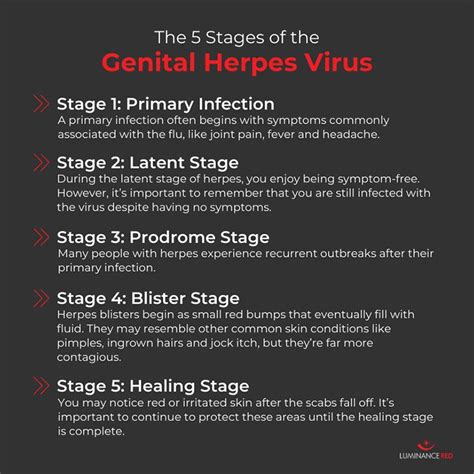 5 genital herpes stages lifemd