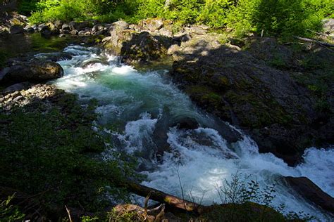 Best Sol Duc River Stock Photos Pictures And Royalty Free Images Istock