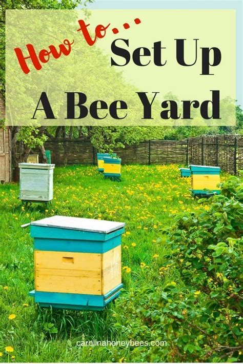 This is a guest post from creek stewart of willow haven outdoor. How to set up a bee yard - Carolina Honeybees # ...
