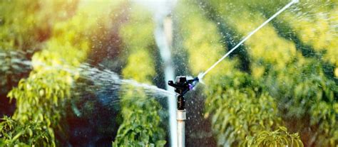 The Basics Of Agricultural Irrigation Southwest Florida Service And Supply