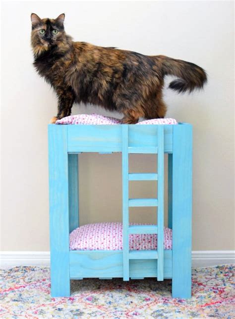 Itty Bitty Kitty Bunk Beds How To Build Free Plans Cat Bed