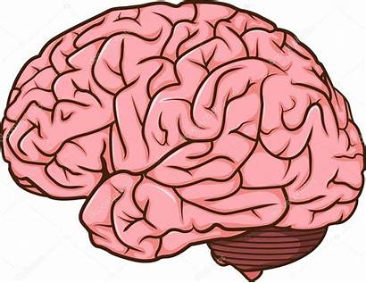 Brain Cartoon Human Gehirn Comic Cerebro Dibujo