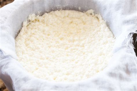 How To Make Ricotta Cheese The Pkp Way