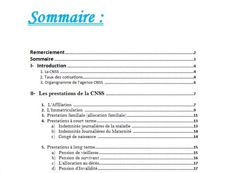 Modele Rapport De Stage Sommaire