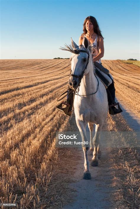 Woman On Horseback Stock Photo Download Image Now Adult Adults