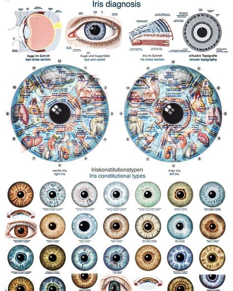 What Is Iridology Eye Chart Diagnosis Iriscope Iridology Camera