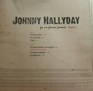 Johnny Hallyday Ca Ne Finira Jamais Lp Muziker