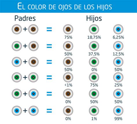 Todo Sobre El Color De Ojos Azules Verdes O Marrones