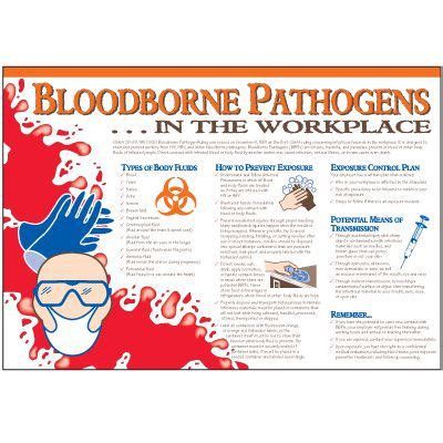 Bloodborne Pathogens In Workplace Wallchart Emedco The Best Porn Website