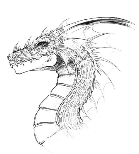 Simple Dragon Line Drawing At Paintingvalley Com Explore Collection Of Simple Dragon Line Drawing