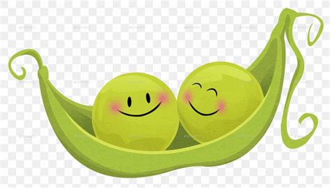 Pea Fruit Png 1801x1034px Pea Fruit Green Happiness Plant