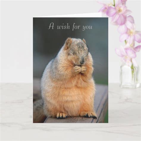 Get Well Wishes Card In 2020 Get Well Cards Cute