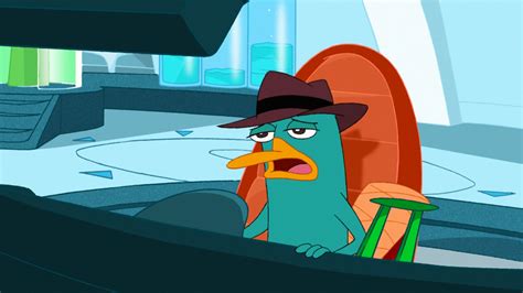 Image - Agent P worn out.jpg | Phineas and Ferb Wiki | FANDOM powered ...
