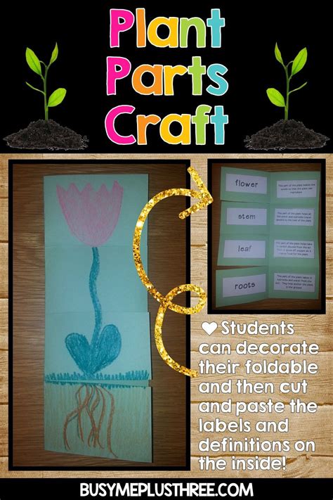Plant Life Cycle Worksheets Observation Journal Crafty And Anchor Chart
