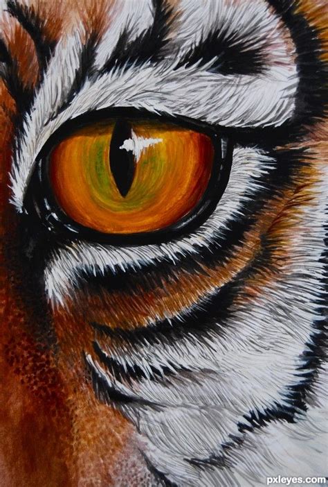 Tiger Eye Drawing