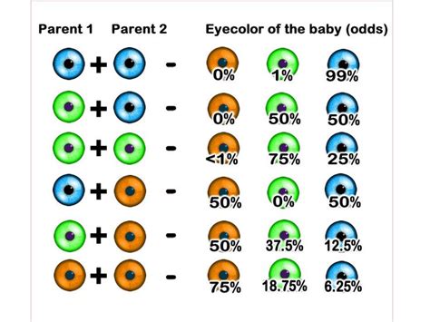 Find Out What Will Be The Color Of Your Babys Eyes Women Daily Magazine