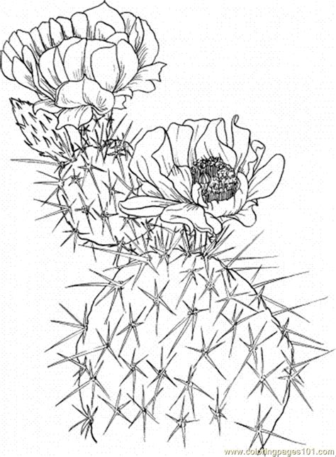 Cactus 11 Coloring Page for Kids - Free Flowers Printable Coloring