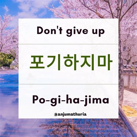 Korean Slang Korean Phrases Japanese Phrases Korean Quotes Japanese