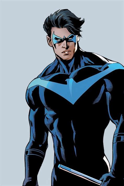 The White Wolf Nightwing Nightwing Art Richard Grayson
