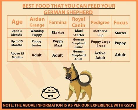 If you choose to keep your gsd puppy on puppy food for longer, you may want to slightly decrease portion sizes per meal as your puppy grows up. What is the best food for a 1-month-old German shepherd puppy? - Quora